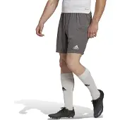 Adidas Entrada 22 Shorts