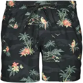 Quiksilver Scenic 15 Simshorts