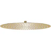 vidaXL Takduschhuvud rostfritt stål 50 cm rund guld