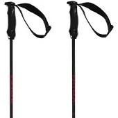 Völkl Rentastick Carbon Stavar