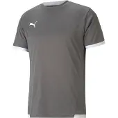 Puma Funktionstopp 'TeamLiga' basalgrå / vit
