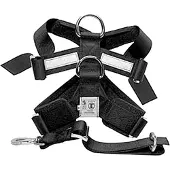 MimSafe Mim - Allsafe Medium 15-30kg Car harness - crash-tested