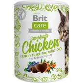 Brit Care Cat Snack Superfruits Kyckling 100 g