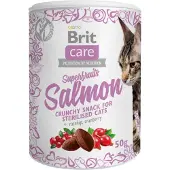 Brit Care Cat Snack Superfruits Lax 100g