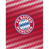 Carbotex FC Bayern München filt 130x170cm