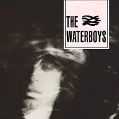 Import The Waterboys: Waterboys