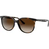 Ray-Ban 0RB4378 Solglasögon -