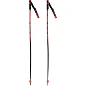 Rossignol Hero Gs-sg Stavar