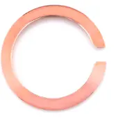 Glam Rock Gc2203gr Bezel Watch Durchsichtig Man