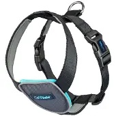 Company of animals Carsafe Travel Dog Hundsele
