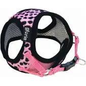 Gloria Leopard Hundsele