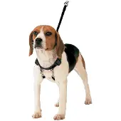 Gloria S6103716 Hundsele