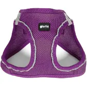 Gloria Air Mesh Trek Star Hundsele