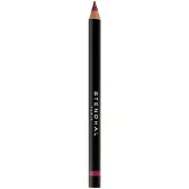 Stendhal Crayon Lèvres Précision 303 Läpppenna
