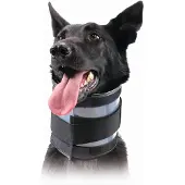 Kvp Bite Free Hundhalsband