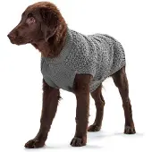 Hunter Pet Malmö Hundtröja