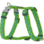 Red Dingo Style Star Hundsele