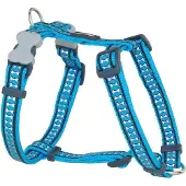Red Dingo Reflective Bone Hundsele