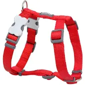 Red Dingo Smooth Hundsele
