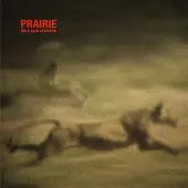 Ginza.se Prairie: Like A Pack Of Hounds