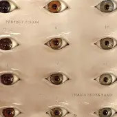 Ginza.se Thalia Zedek Band: Perfect Vision