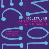 Ginza.se Lewis James Brandon: Molecular