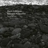 OUTHERE Ambrosini Marco/Ensemble Supersonus: Resonances