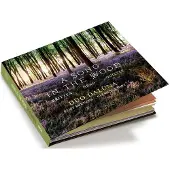 OUTHERE Duo Daluna: A Song in the Wood