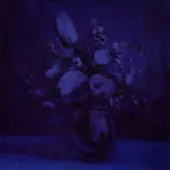 Ginza.se Deaf Wish: Lithium Zion