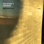 Ginza.se Tim Berne's Snakeoil: Incidentals