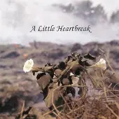 Ginza.se Norris Jan: A Little Heartbreak