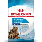 Royal Canin Maxi starter mother &amp; babydog 4 kg