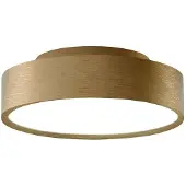 LIGHT-POINT Taklampor , dimbara, Guld / mässing, Vardagsrum, Aluminium