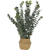 Progarden konstgjord eukalyptus i korg, 50 cm