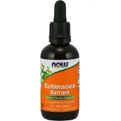 Now , Echinacea Extrakt, 2 fl oz (59 ml)