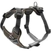 DOG SPORT Pets