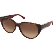Lacoste L985s 240 Dam Solglasögon /59-16-140 brown