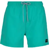 Rip Curl Offset Volley Boardshorts aqua Storlek XXL