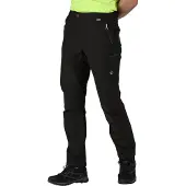 Regatta Highton Shorts