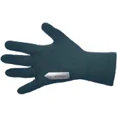 Q36.5 Anfibio Handskar