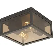 QAZQA Taklampa svart med rökglas 2-ljus IP44 - Charlois