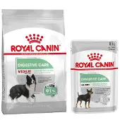 Royal Canin CCN Medium Digestive Care 12 kg torrfoder för vuxna hundar av medelstor ras med känslig matsmältningskanal
