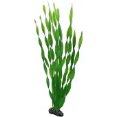 Hobby Vallisneria 46cm