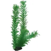 Hobby Dekorväxt Egeria 34cm 34cm