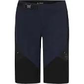 Sweet Protection Hunter Shorts