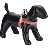 Designed By Lotte Velura Hundsele