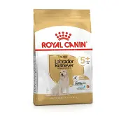 Royal Canin Labrador Retriever Adult 5+ torrfoder för hundar från 5 år och uppåt 12 kg