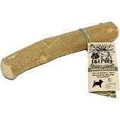 Moos & Rosy Kaffeträd tuggrot S för hund