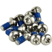 Sram Rotor Bolt Titanium T25 Vevparti Skruvsats 12 Enheter