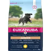 Eukanuba Puppy Large hundfoder med kyckling